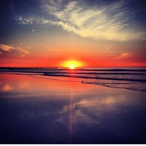 Meet your Posher, Carol